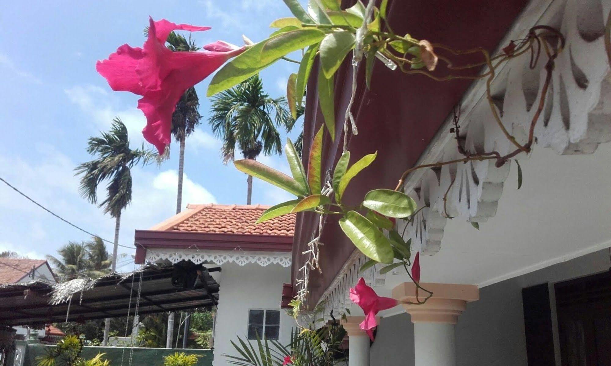 Alexandra Family Villa Negombo Eksteriør bilde